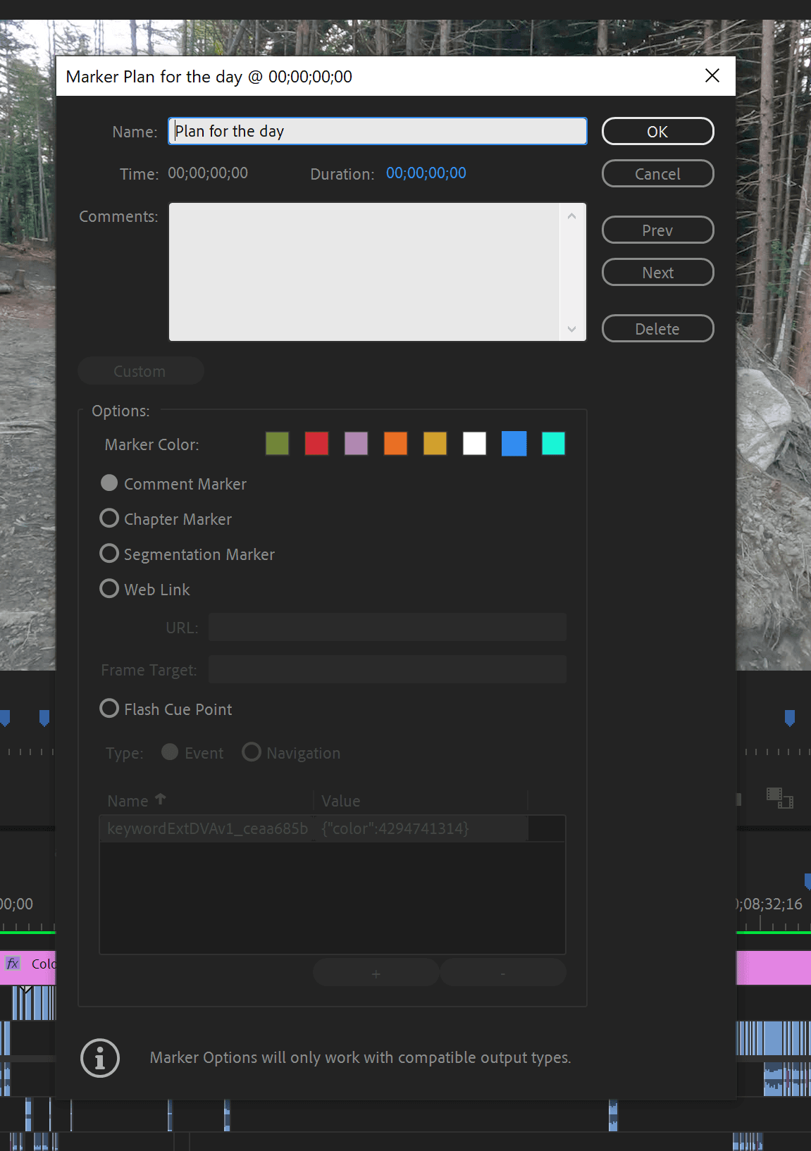 Screenshot of Premiere Pro showing Marker screen